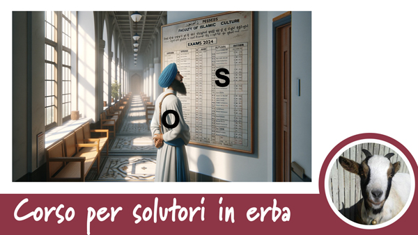 Corso per solutori in erba